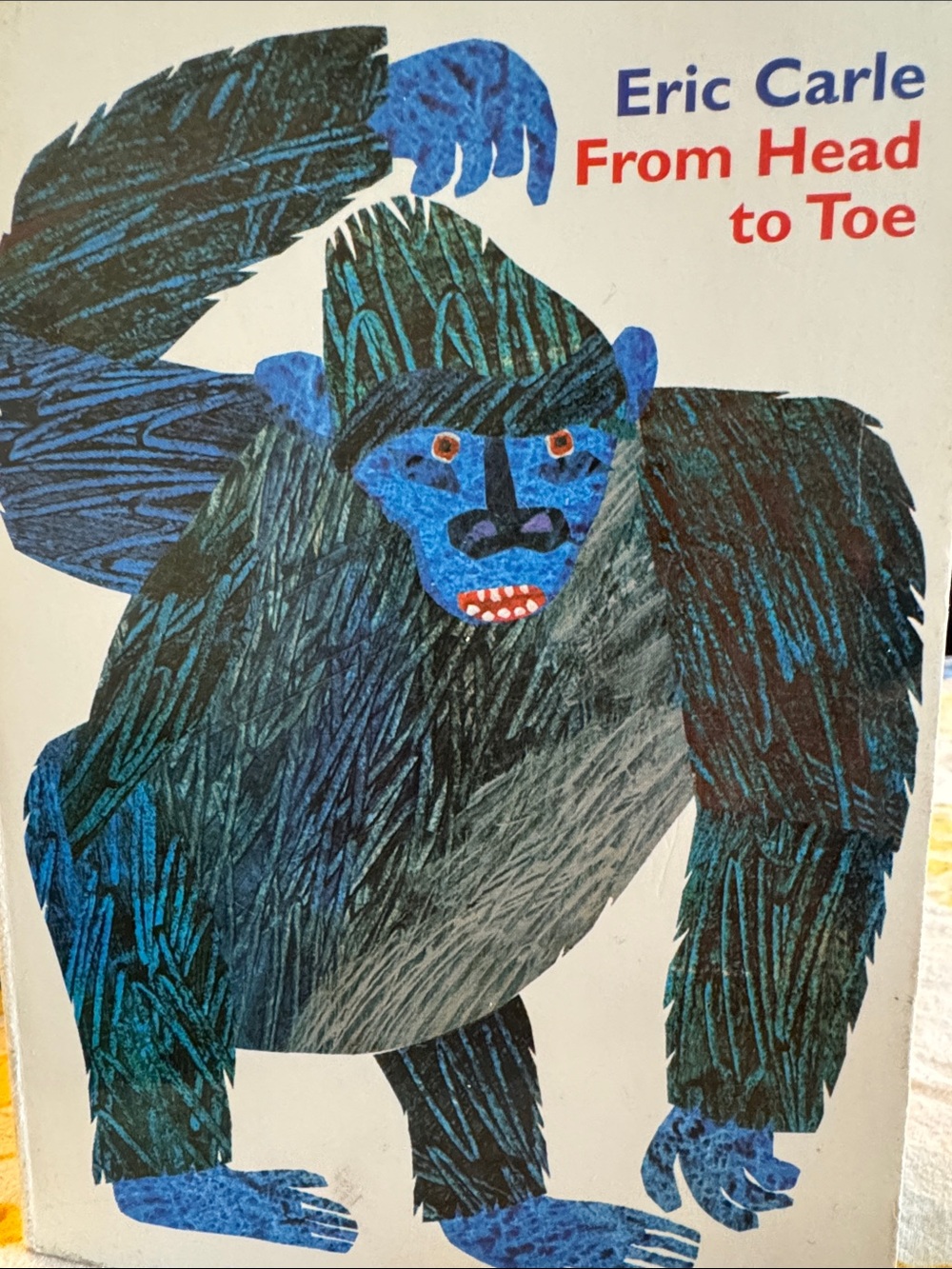 From Head to Toe children book 📕